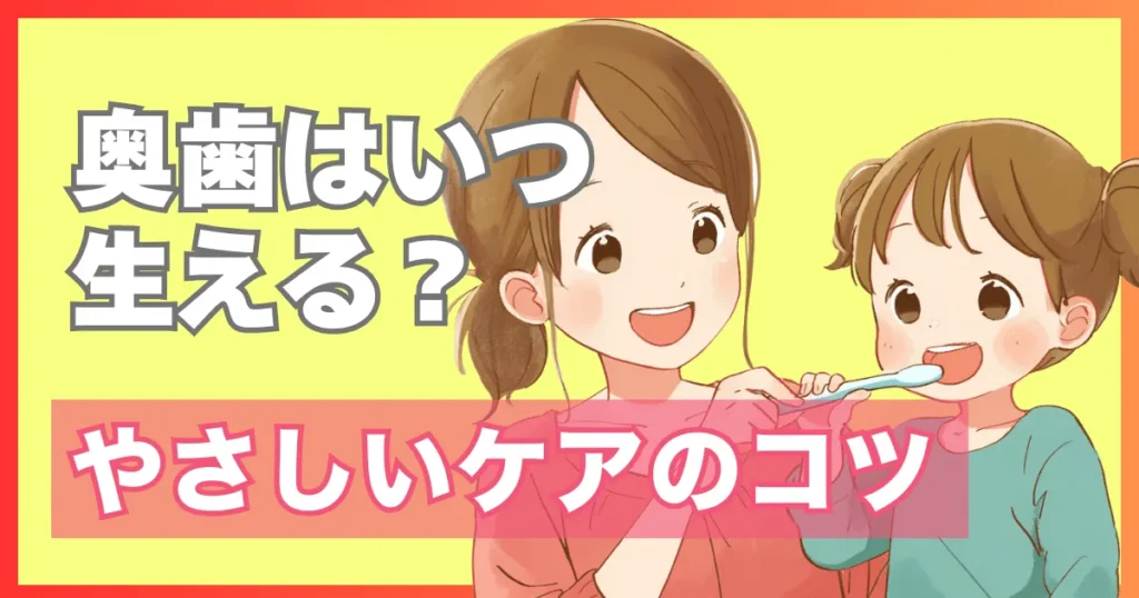 奥歯が生える時期とケア方法