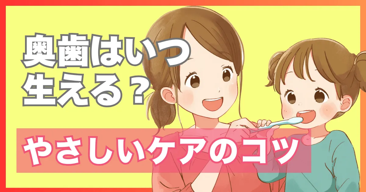 奥歯が生える時期とケア方法
