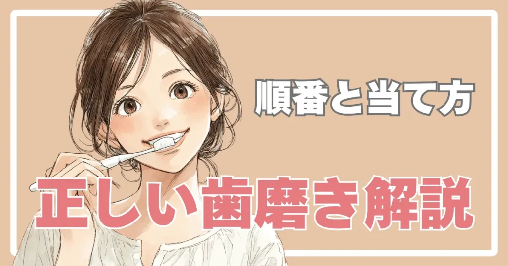 正しい歯磨きの順番と当て方を解説